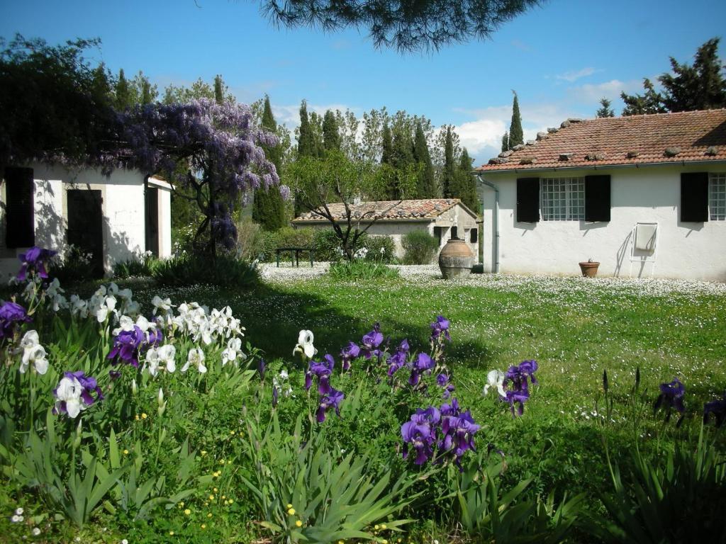 Vignagrande Agriturismo Сатурния Номер фото
