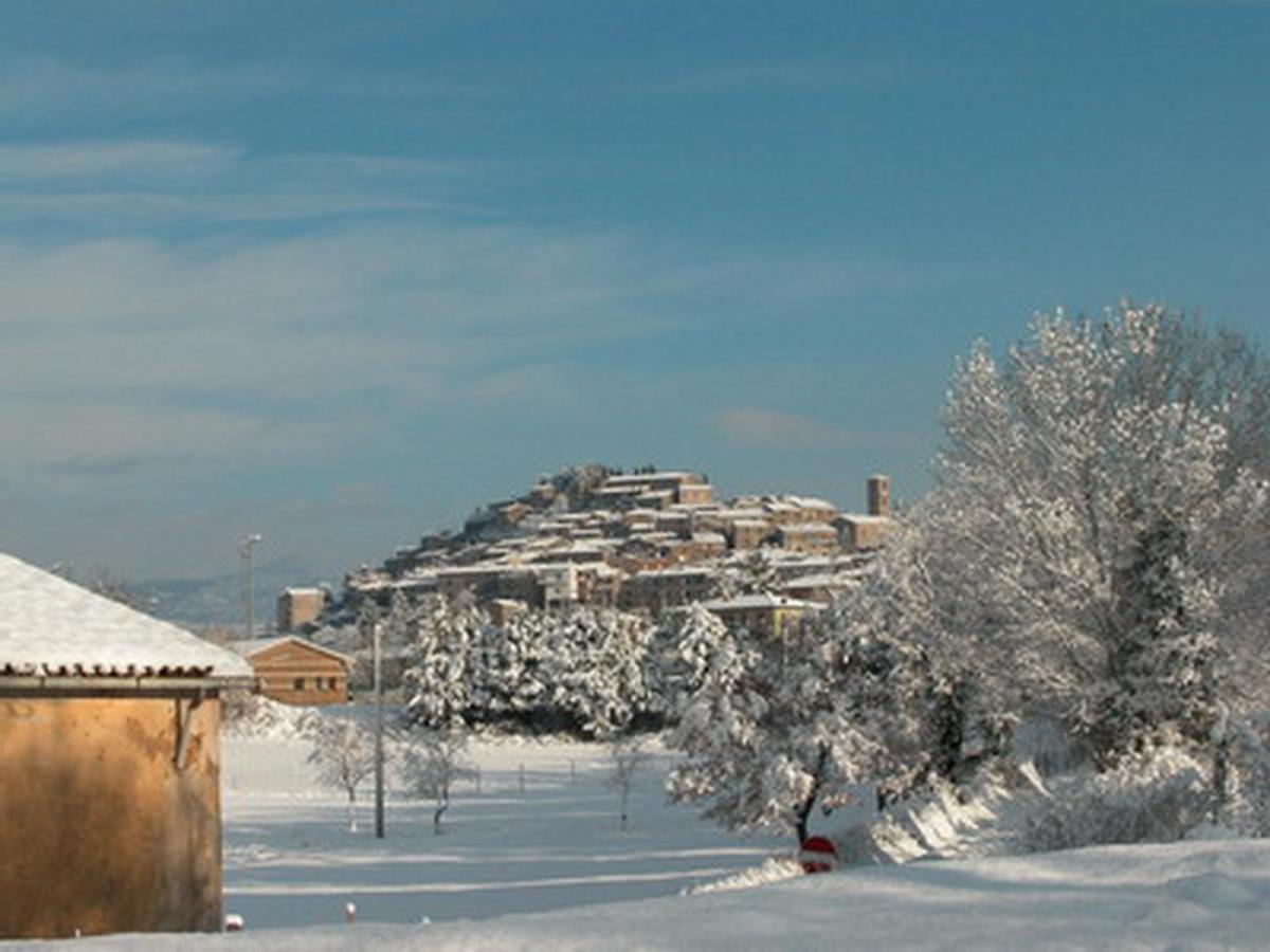 Vignagrande Agriturismo Сатурния Номер фото